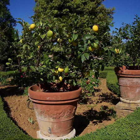 酒店 Scacciapensieri Boutique