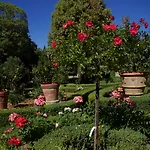 Hotel Scacciapensieri Boutique 4*