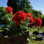 Hotel Scacciapensieri Boutique