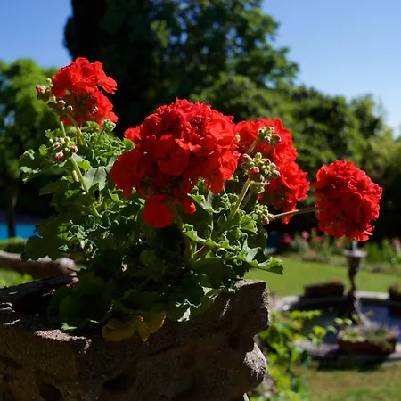 Szálloda Scacciapensieri Boutique