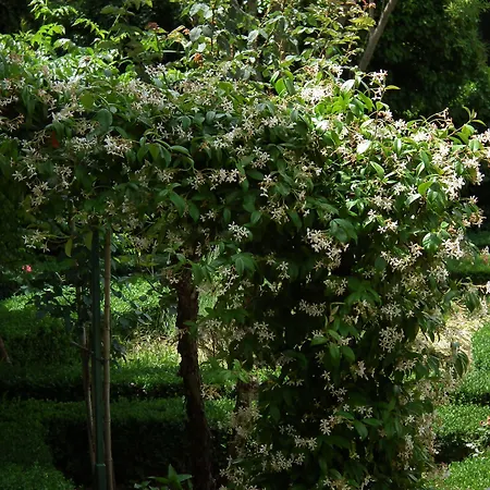 Szálloda Scacciapensieri Boutique