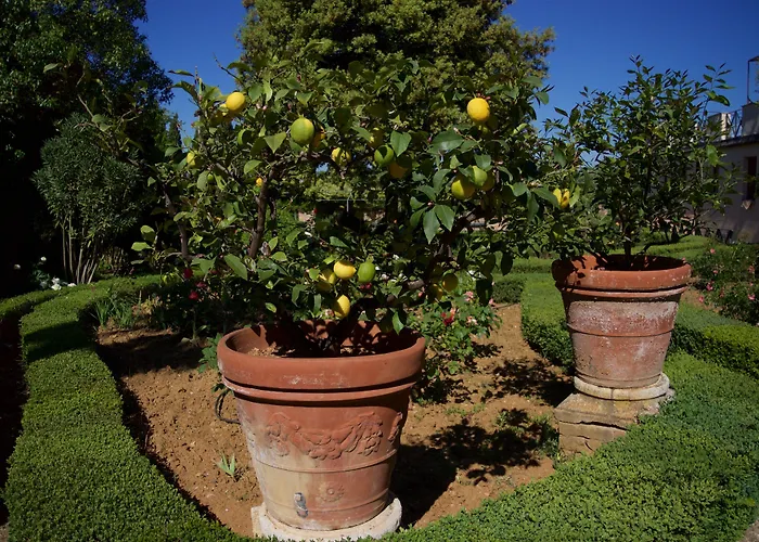 酒店 Scacciapensieri Boutique