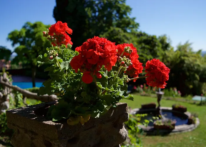 酒店 Scacciapensieri Boutique