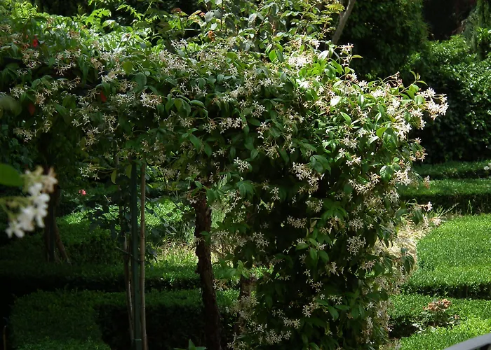 酒店 Scacciapensieri Boutique